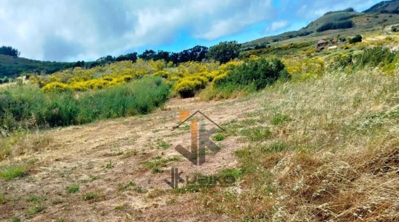 Санта-Крус-де-Тенерифе - La Esperanza - 8229m2