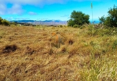 Non-developable land for sale on España, La Esperanza, ref: TR414492 photo