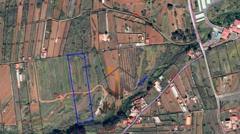 Санта-Крус-де-Тенерифе - La Esperanza - 8229m2