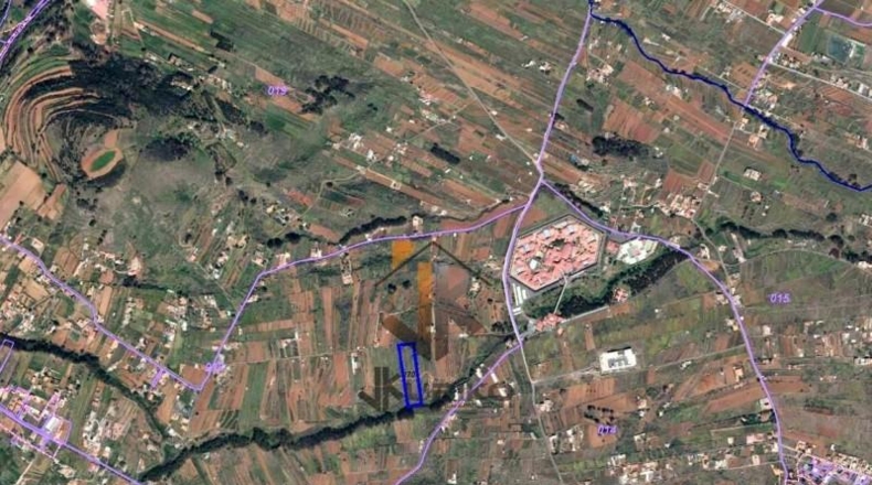 Санта-Крус-де-Тенерифе - La Esperanza - 8229m2