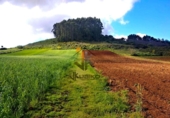 Non-developable land for sale on España, San Cristóbal de La Laguna, ref: TR414494 photo