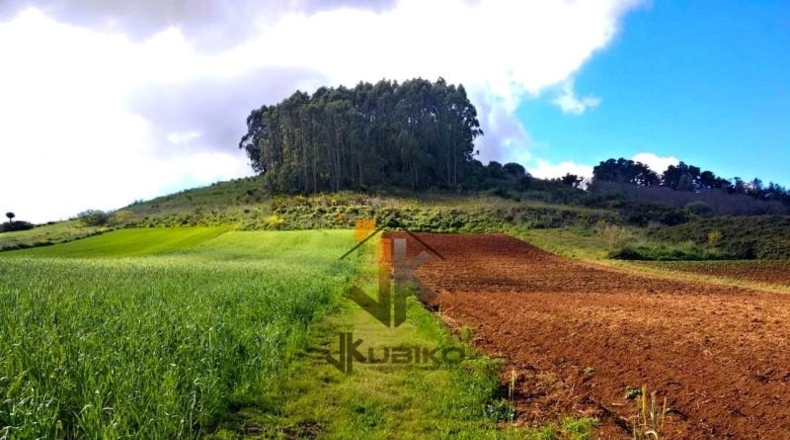 Санта-Крус-де-Тенерифе - San Cristóbal de La Laguna - 10267m2