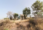 Casa de camp amb terreny en venda a la España, Elx, ref.: TR414499 foto