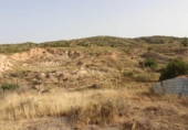 Casa de camp amb terreny en venda a la España, Elx, ref.: TR414499 foto