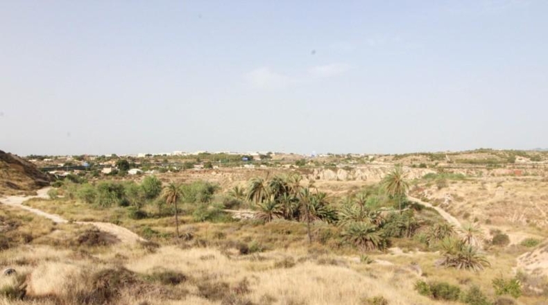 Alicante - Elche - 8705m2
