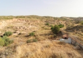 Casa de camp amb terreny en venda a la España, Elx, ref.: TR414499 foto