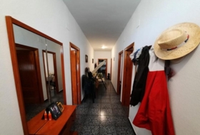 Alpera 15000&nbsp;m²