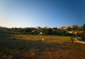 Terreno no urbanizable en venta en la España, Palma, ref: TR412673 foto