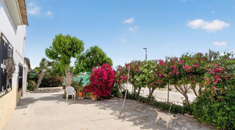 Alicante - Orihuela - 12689m2