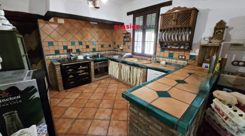 Córdoba - Dos Torres - 21510m2
