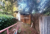 Chalet independiente con terreno en venta en la España, la Joncosa del Montmell, ref: TR414523 foto