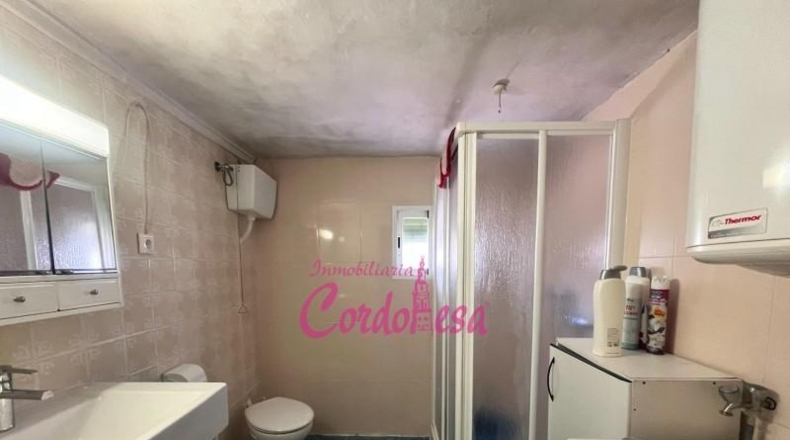 Córdoba - Encinarejo de Córdoba - 4000m2