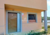 Detached villa with land for sale on España, Cabra del Camp, ref: TR227586 photo