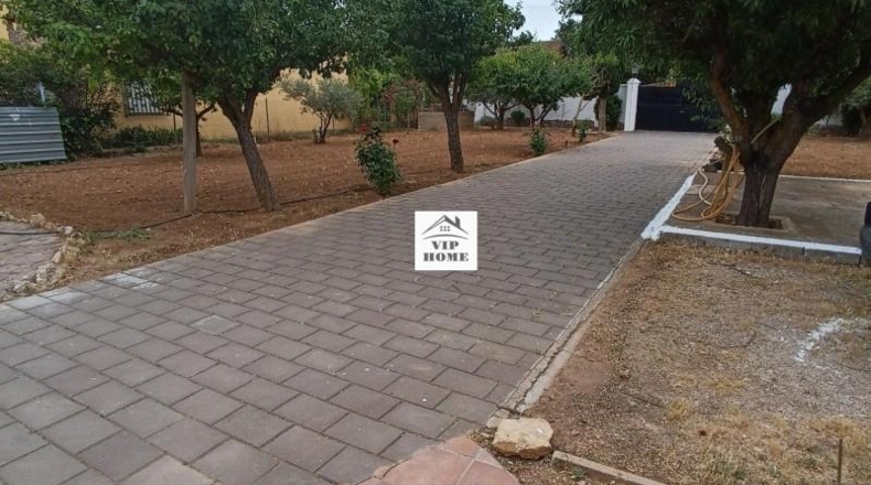 Альбакете - Albacete - 1000m2