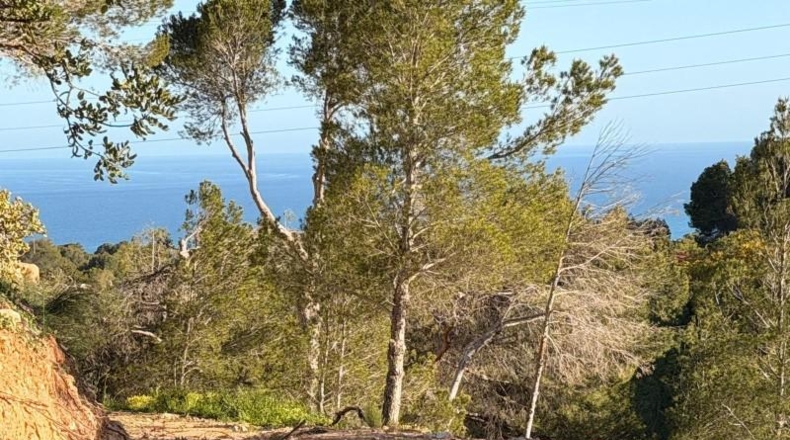 Alicante - Altea - 2120m2