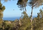 Suelo urbano en venta en la España, Altea, ref: TR414543 foto