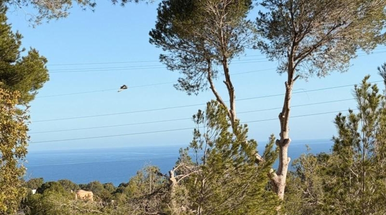 Alicante - Altea - 2120m2