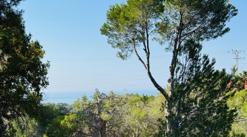 Alicante - Altea - 2120m2