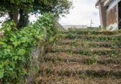 Finca rústica en venta en la España, Cambre, ref: TR414544 foto