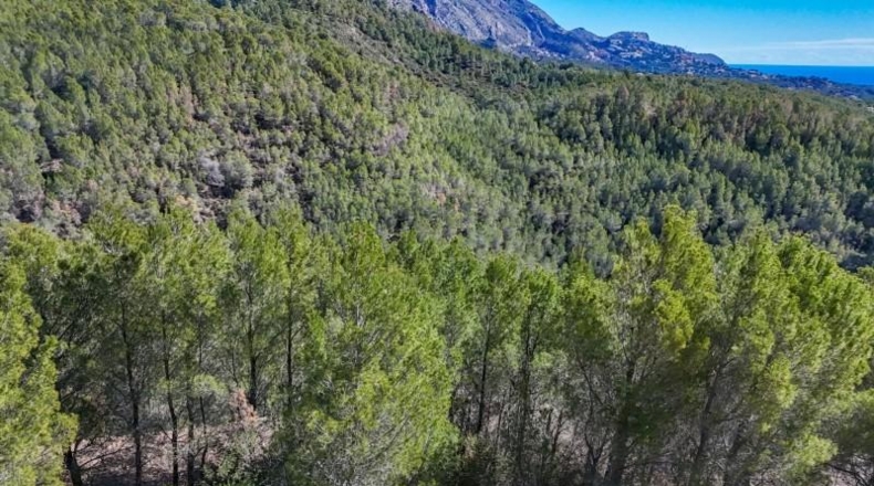 Alicante - Callosa d'en Sarrià - 1074m2