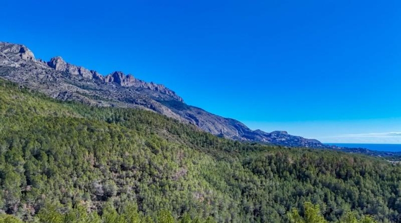 Alicante - Callosa d'en Sarrià - 1074m2