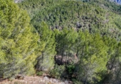 Suelo urbano en venta en la España, Callosa d'en Sarrià, ref: TR414548 foto