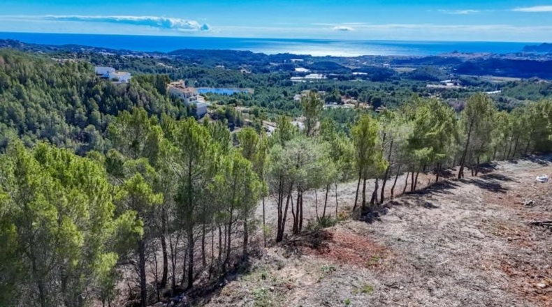 Alicante - Callosa d'en Sarrià - 1074m2