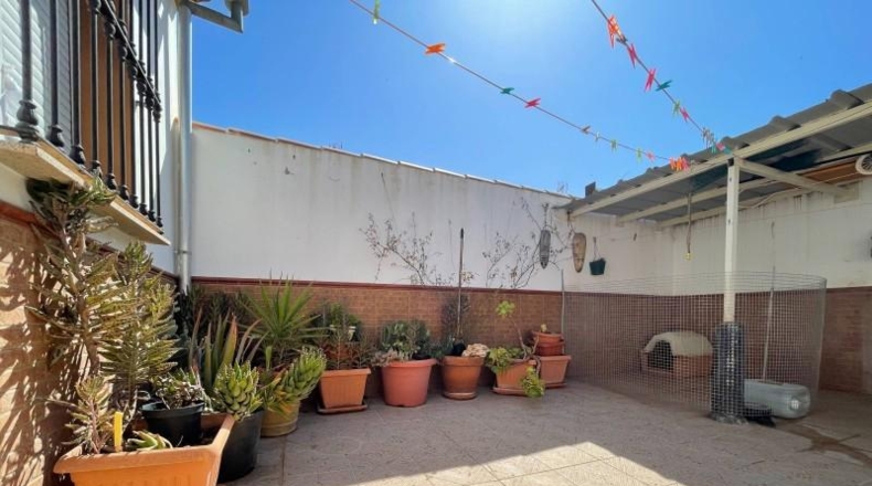 Málaga - Mollina - 332m2