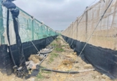 Terreno no urbanizable en venta en la España, Sanlúcar de Barrameda, ref: TR261889 foto