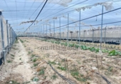 Terreno no urbanizable en venta en la España, Sanlúcar de Barrameda, ref: TR261889 foto