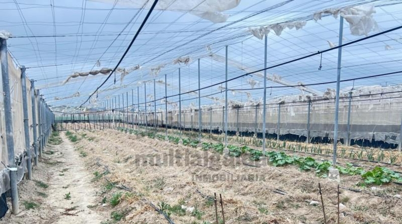 Cádiz - Sanlúcar de Barrameda - 7722m2