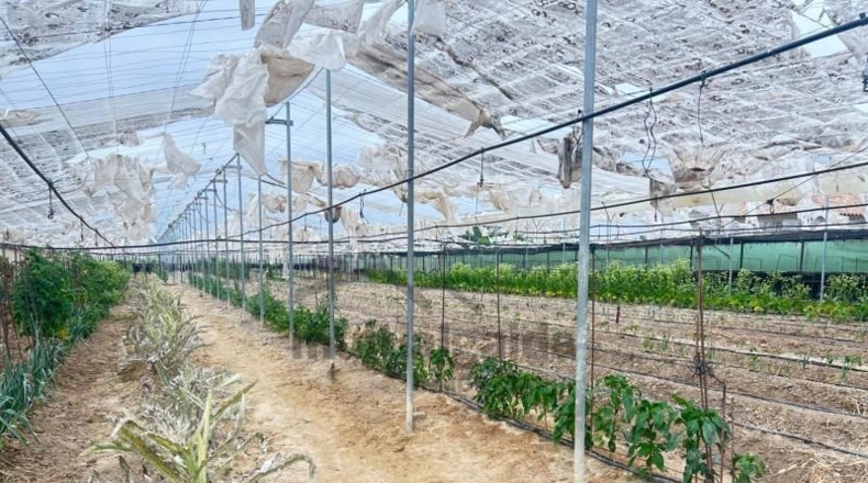 Cádiz - Sanlúcar de Barrameda - 7722m2