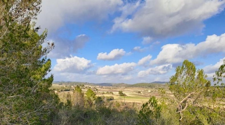 Балеарские острова - Montuïri - 14m2