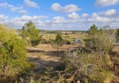 Terreno no urbanizable en venta en la España, Montuïri, ref: TR414580 foto