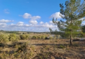 Terreno no urbanizable en venta en la España, Montuïri, ref: TR414580 foto