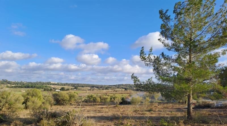 Балеарские острова - Montuïri - 14m2