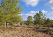 Terreno no urbanizable en venta en la España, Montuïri, ref: TR414580 foto