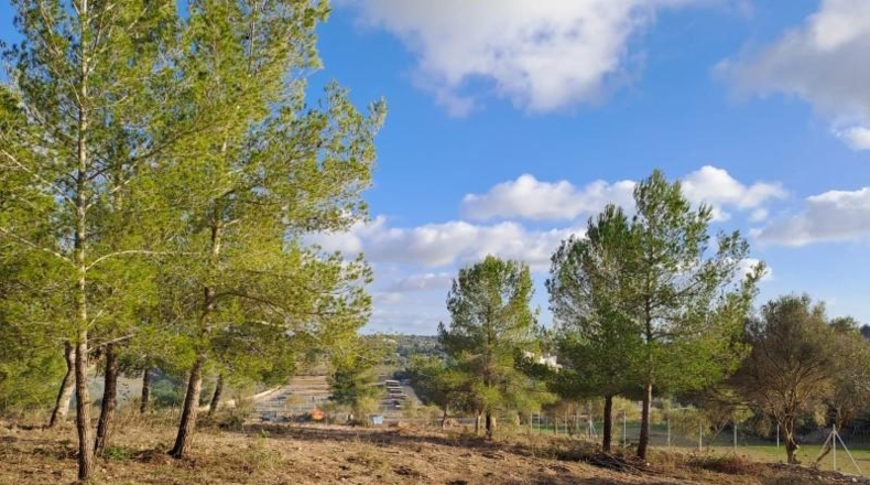 Балеарские острова - Montuïri - 14m2