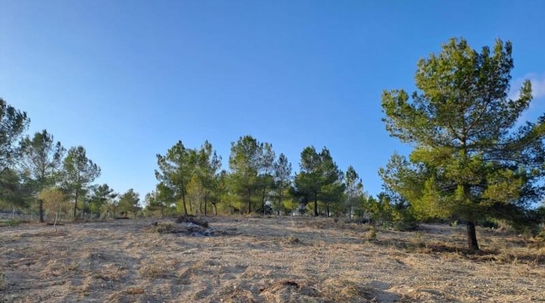 Балеарские острова - Montuïri - 14m2