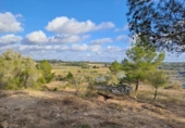 Terreno no urbanizable en venta en la España, Montuïri, ref: TR414580 foto