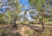 Terreno no urbanizable en venta en la España, Montuïri, ref: TR414580 foto