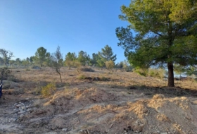 Foto 9