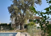Chalet independiente con terreno en venta en la España, Elche, ref: TR311276 foto