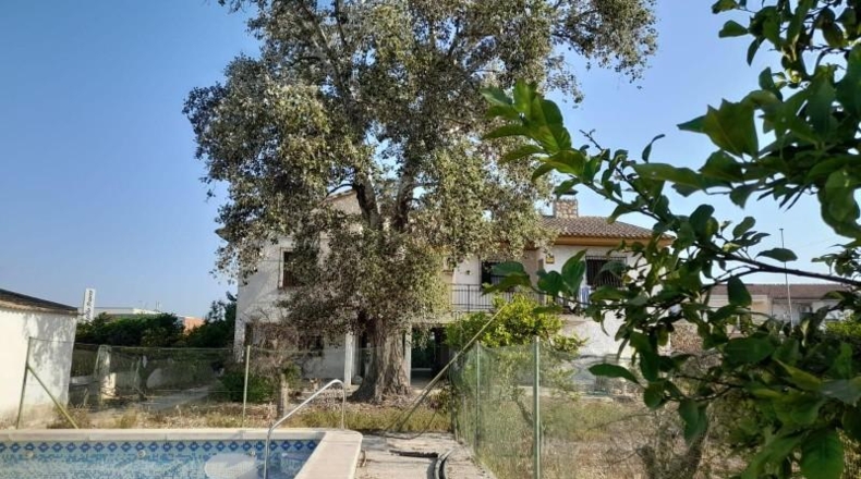 Alicante - Oriola - 3285m2