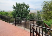 Chalet independiente con terreno en venta en la España, Elche, ref: TR311276 foto