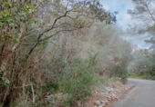 Suelo urbano en venta en la España, Cala Santanyí, ref: TR414597 foto