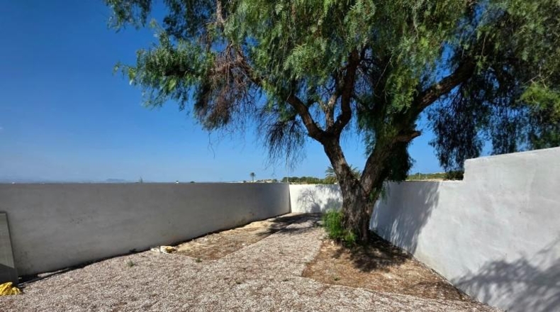 Alicante - Guardamar del Segura - 529m2