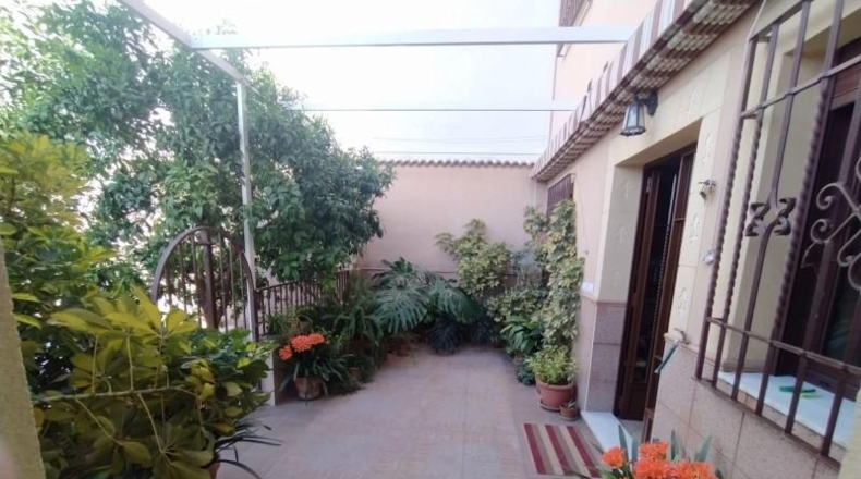 Córdoba - Baena - 361m2