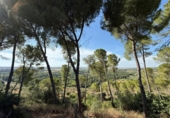 Chalet independiente con terreno en venta en la España, Aznalcázar, ref: TR414624 foto