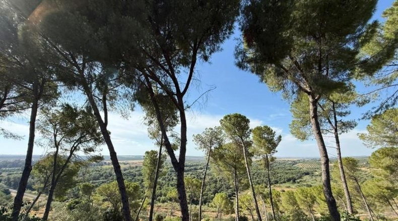 Seville - Aznalcázar - 216m2